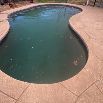 Saloam Miracle Pool Services - Before - Pool Cleaners Near Me - Glendale, Arizona
