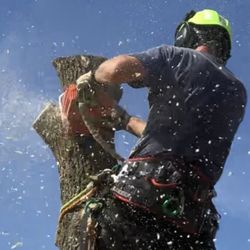 TEK Tree Service