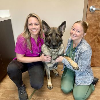 Bluegrass Veterinary Hospital - Veterinarians Near Me - Gallatin, Tennessee Bluegrass Veterinary Hospital - Veterinarians Near Me - Gallatin, Tennessee