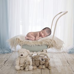 Andrea Friedman Photography - Newborn photos
