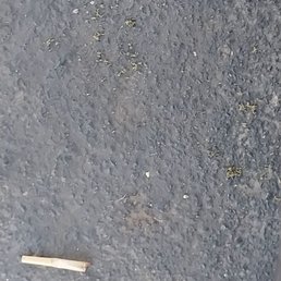 One of the prerolls that spilled on the ground that couldnt be salvaged.....