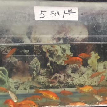 Noah's Ark - Pet Stores Near Me - El Monte, California Noah's Ark - Pet Stores Near Me - El Monte, California