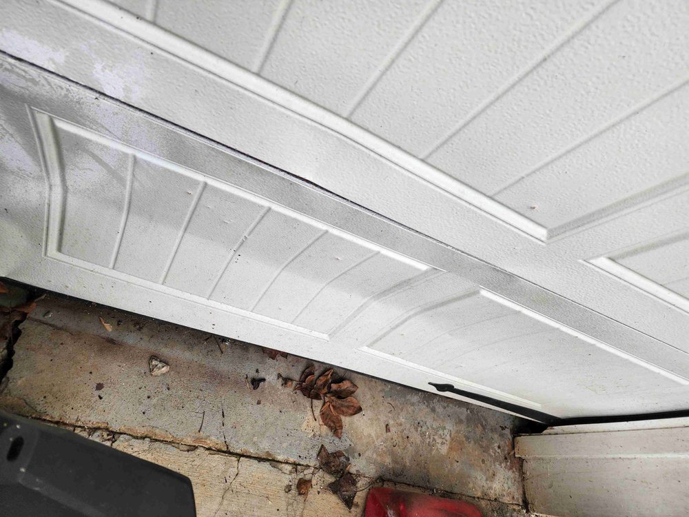 BIN THERE DUMP THAT Updated October 2024 21 Photos & 15 Reviews