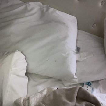 Rocklin Park Hotel - Nasty pillows - Hotels Near Me - Rocklin, California Rocklin Park Hotel - Nasty pillows - Hotels Near Me - Rocklin, California