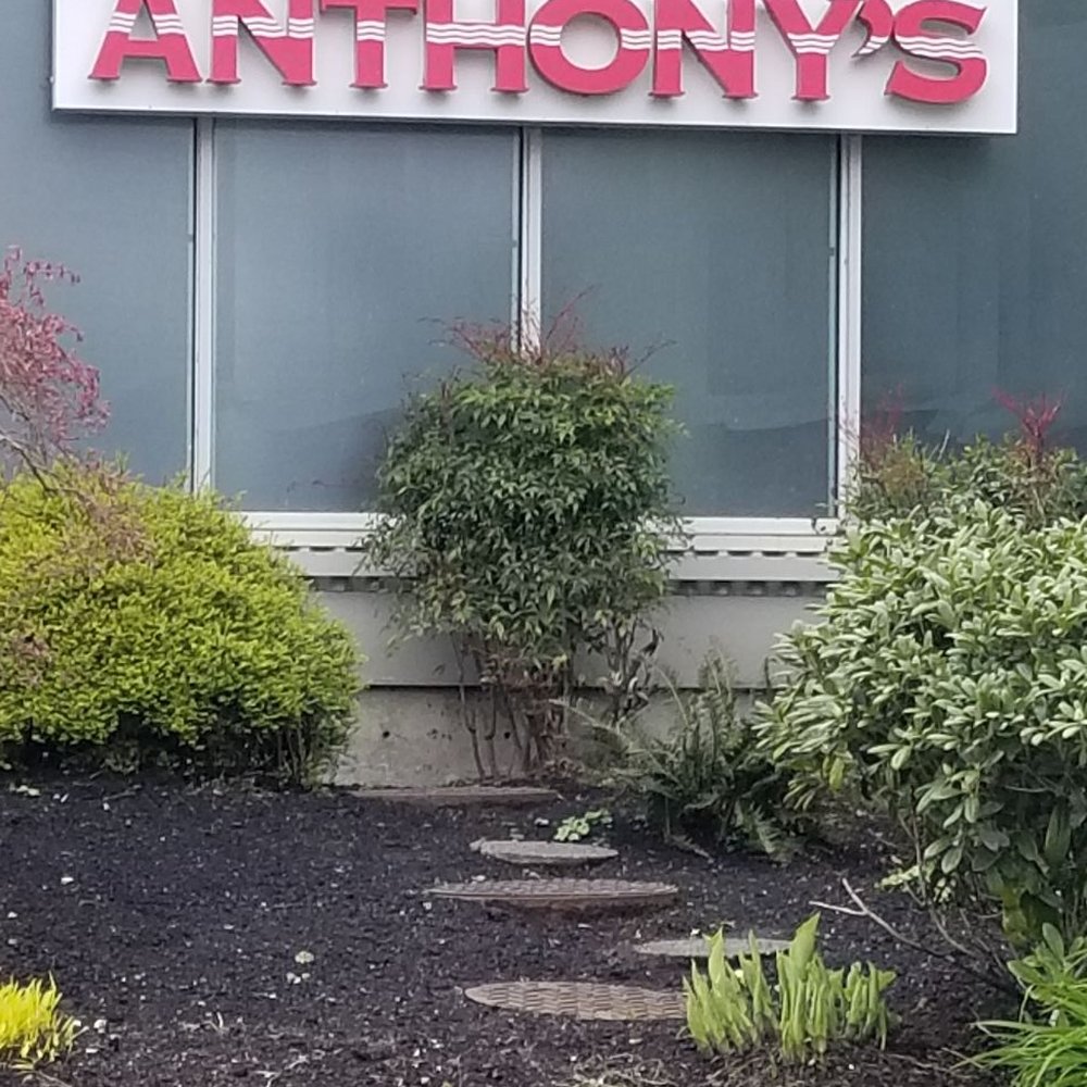 Anthony's Restaurant - Seafood Near Me - Olympia, Washington Anthony's Restaurant - Seafood Near Me - Olympia, Washington