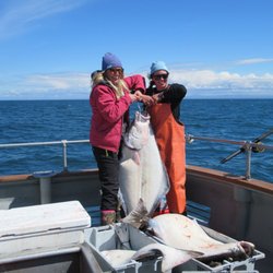 Silver Fox Charters