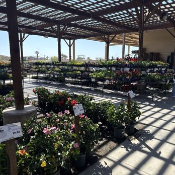 Star Nursery - Nurseries & Gardening Near Me - North Las Vegas, Nevada Star Nursery - Nurseries & Gardening Near Me - North Las Vegas, Nevada