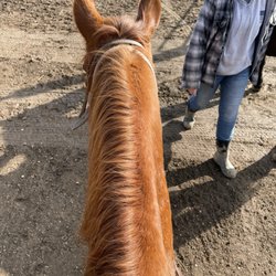 Rolling Hills Ranch