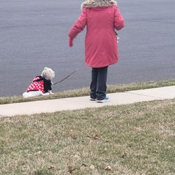 Sit and Stay Pet Care - Mary Anne is the best!