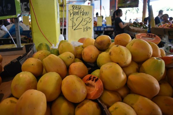 Rusty's Markets by null