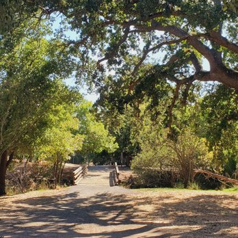 Markham Nature Park & Arboretum - Tree walk - Parks Near Me - Concord, California Markham Nature Park & Arboretum - Tree walk - Parks Near Me - Concord, California