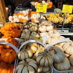 Reardon's Fruit Market & Garden Center