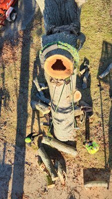Environmentally Conscious - At Professional Tree Services, safety is paramount, and our equipment reflects this commitment. We invest in the latest safety harnesses, rigging systems, and aerial lifts to ensure that our team can work at height with confidence and security, safeguarding both personnel and property.

Moreover, our environmentally conscious approach extends to our equipment choices. We prioritize the use of low-emission engines and eco-friendly hydraulic fluids, minimizing our carbon footprint while maximizing performance.