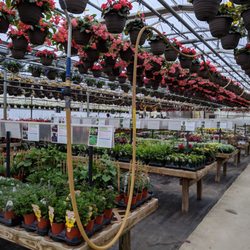 Key Blooms