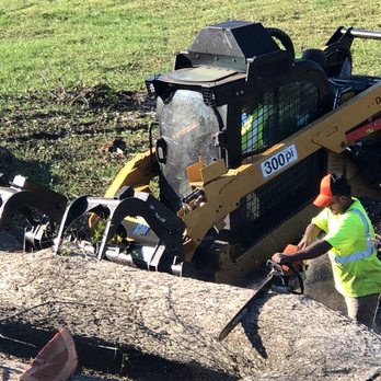 Tree wise men - Tree Services Near Me Tree wise men - Tree Services Near Me