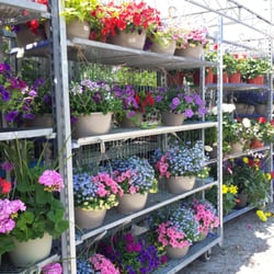 Galati Market Fresh - Nice Flower Baskets