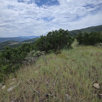 Z Cross Ranch - Horseback Riding Near Me - Wanship, Utah Z Cross Ranch - Horseback Riding Near Me - Wanship, Utah