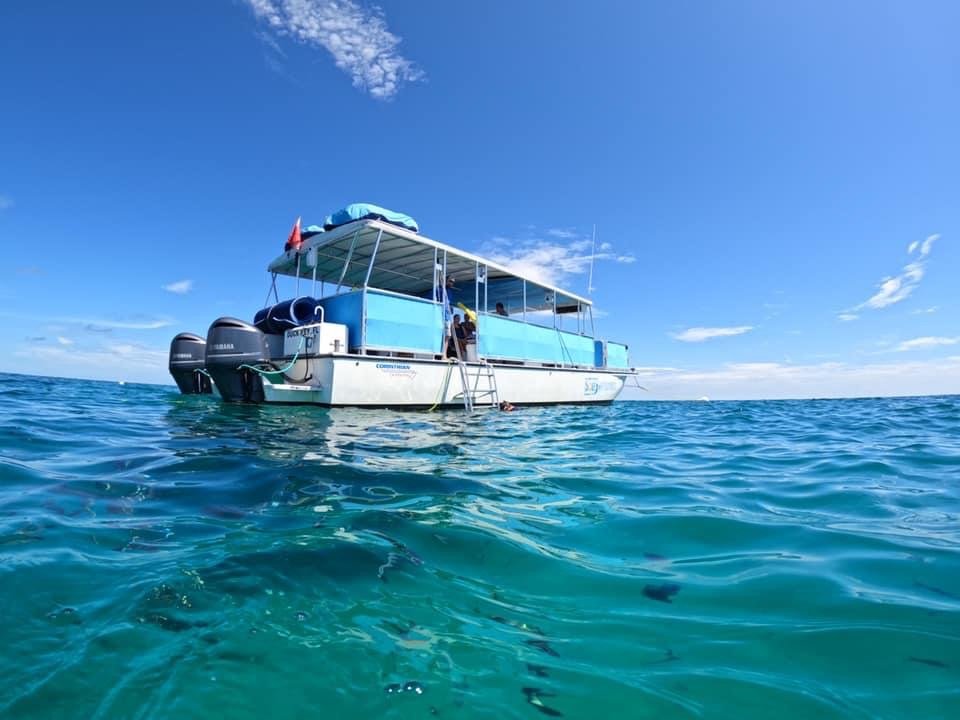 SNORKELING MARATHON Updated July 2024 61 Duck Key Dr, Marathon