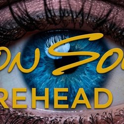 Vision Source Morehead City