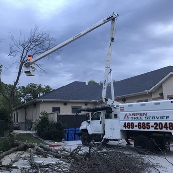 Aspen Tree Service - Tree Services Near Me Aspen Tree Service - Tree Services Near Me