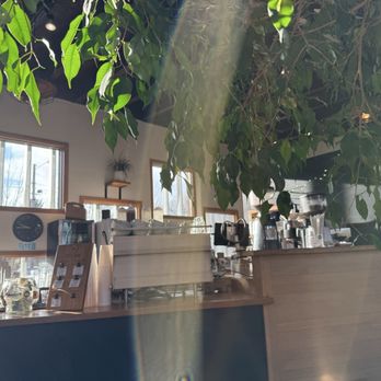 Seven Virtues Coffee Roasters - Front counter - Coffee & Tea Near Me - Portland, Oregon Seven Virtues Coffee Roasters - Front counter - Coffee & Tea Near Me - Portland, Oregon