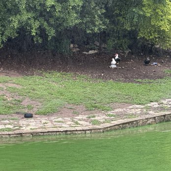 Arboretum Duck Pond - Parks Near Me - Austin, Texas