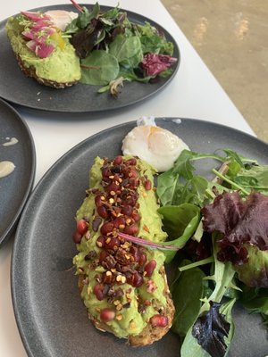 Greenheart Vienna by null