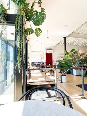 Lola's Cafe by null