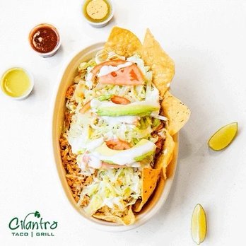 Cilantro Taco Grill - Tacos Near Me - Bloomingdale, Illinois