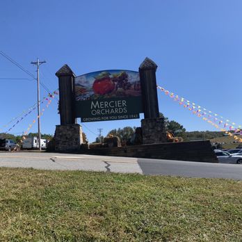 Mercier Orchards - We're here! - Bakeries Near Me - Blue Ridge, Georgia