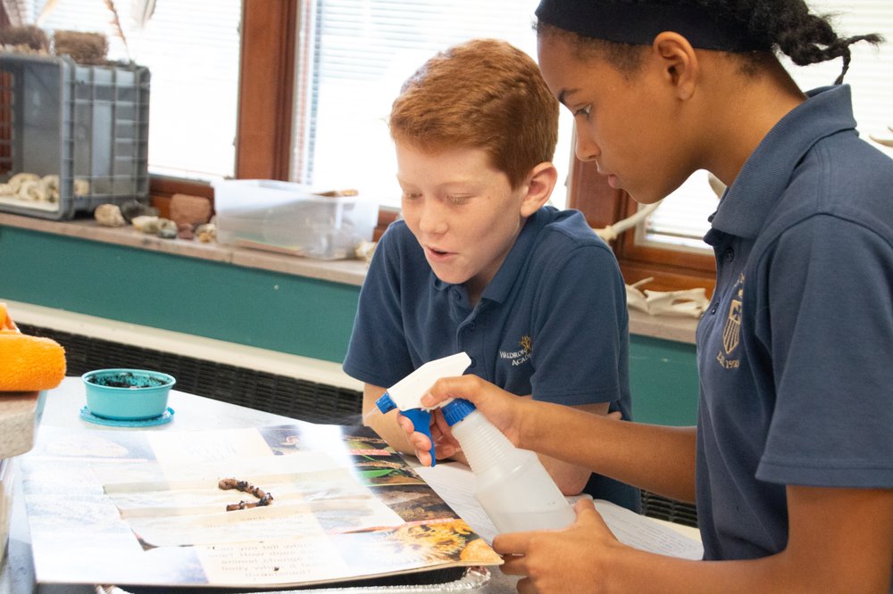 WALDRON MERCY ACADEMY Updated June 2024 513 Montgomery Ave, Merion