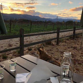 Honig Vineyard & Winery - Wine Tasting Room Near Me - Rutherford, California Honig Vineyard & Winery - Wine Tasting Room Near Me - Rutherford, California