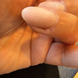 Lavender Nail Spa