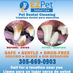 EZ Pet Dental Care