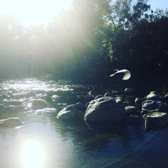 LA River Bike Path - Birds everywhere - Parks Near Me