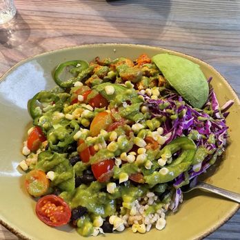 Life Alive Organic Cafe Central Square - southwestern sol - Vegetarian Near Me - Cambridge, Massachusetts