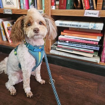 Abi's Books & Brews - Dog-friendly! - Used Bookstore Near Me - Richmond, Virginia Abi's Books & Brews - Dog-friendly! - Used Bookstore Near Me - Richmond, Virginia