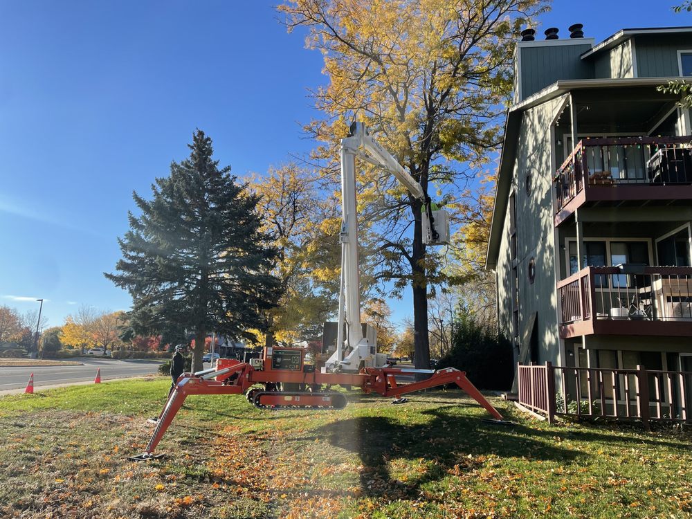 LUMBER JACK & JILL Updated October 2024 Fort Collins, Colorado