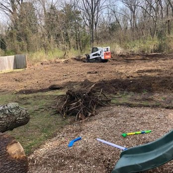 See Clear Property Solutions - Tree Services Near Me - Clayton, New Jersey See Clear Property Solutions - Tree Services Near Me - Clayton, New Jersey