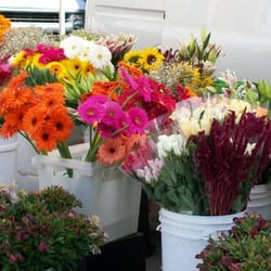Downtown Hollister Farmers Market - Flowers
