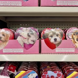 Dollar Tree - January 7, 2023