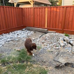 I included a small 30 pound dog for reference. Its a small pile of concrete I included a small 30 pound dog for reference. Its a small pile of concrete