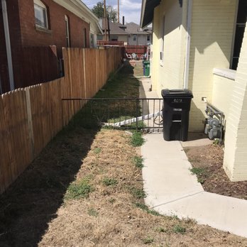 Plush Grass - Artificial Turf Near Me - Denver, Colorado
