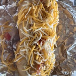 Fiesta dog