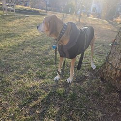 Crispus Attucks Park - Camera shy
