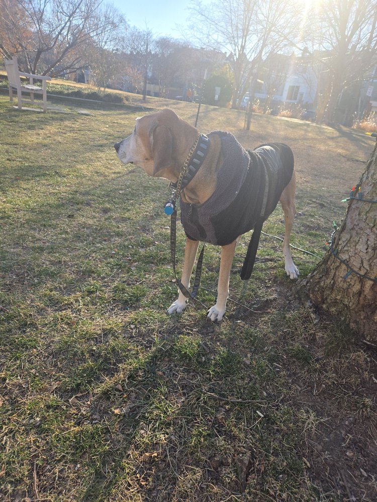 Crispus Attucks Park