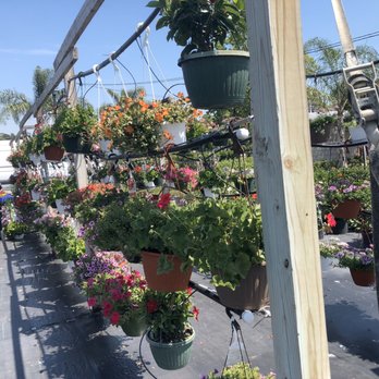 Holiday's Nursery & Landscaping - Nurseries & Gardening Near Me - Jacksonville, Florida Holiday's Nursery & Landscaping - Nurseries & Gardening Near Me - Jacksonville, Florida