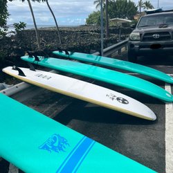 Surfer Bear Hawaii - Surfboards