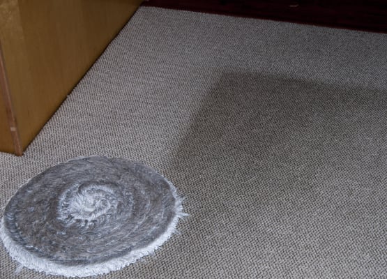 Healthy Cleaning - Our thorough and healthy cleaning lasts 3-4 times longer, with Green Seal Certified Products, drying quickly, and prolonging the life of your carpet, furniture, area rugs, and stone, tile and grout. Healthy Cleaning - Our thorough and healthy cleaning lasts 3-4 times longer, with Green Seal Certified Products, drying quickly, and prolonging the life of your carpet, furniture, area rugs, and stone, tile and grout.