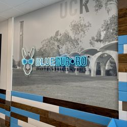 Blue Burro - Inside decor